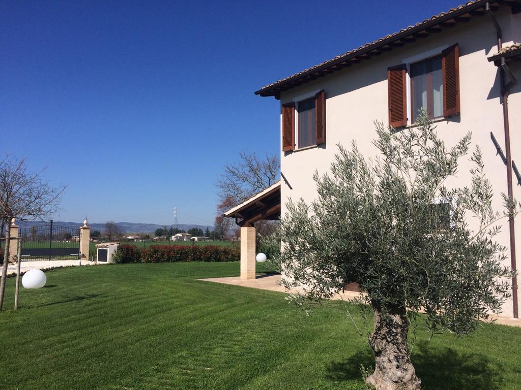 Podere Le Volte Degli Angeli Spello Εξωτερικό φωτογραφία